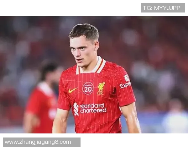 法国足球队代表球星介绍及其影响力分析